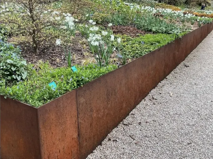 Contrast of green native plants against a rusted corten steel retaining wall.