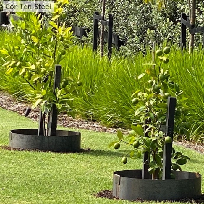 part corten tree rings around an existing tree