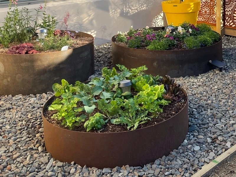 corten steel tree rings