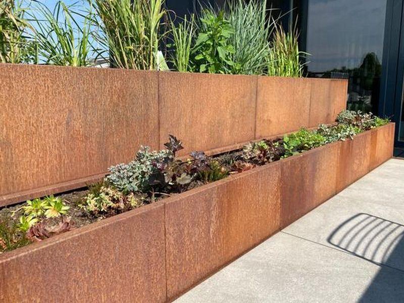 Curved corten steel retaining used to create organic garden bed shapes.